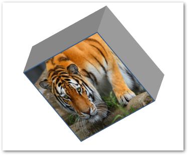 تطبيق تأثيرات ثلاثية الأبعاد على صورة في PowerPoint في Java