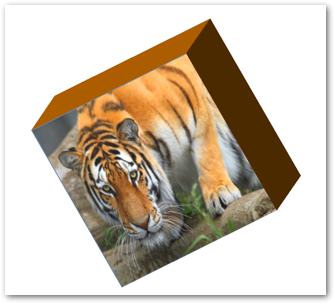 تطبيق تأثيرات ثلاثية الأبعاد على صورة في PowerPoint في Python