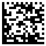 Make a 2D barcode in Python