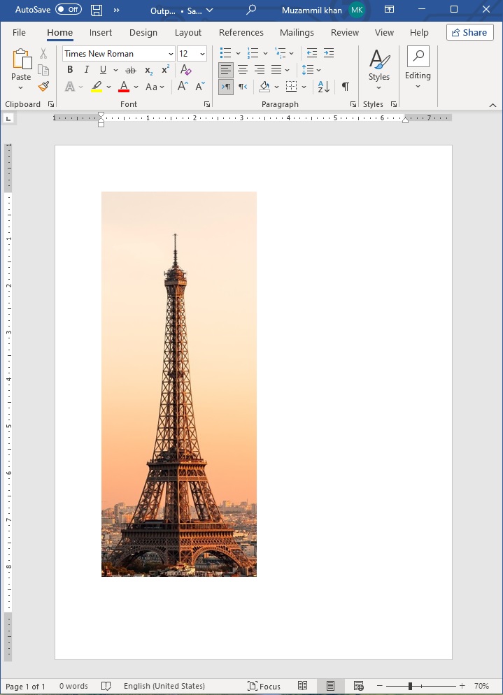 Convert a photo to a Word Document in Python