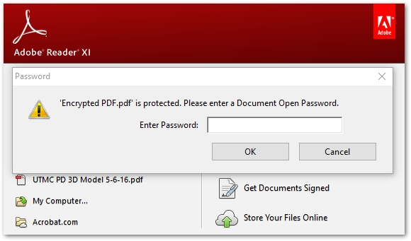 encrypted PDF document