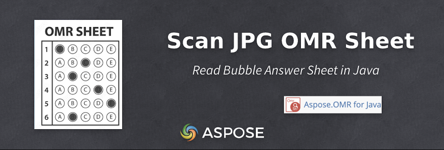 Scan Bubble Answer Sheet i Java - OMR Sheet JPG