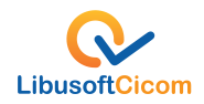 Libusoft Cicom company logo