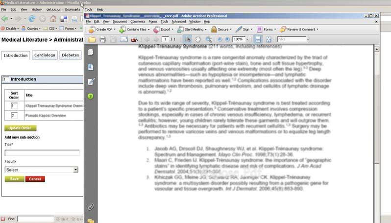 Resultant PDF preview after converison