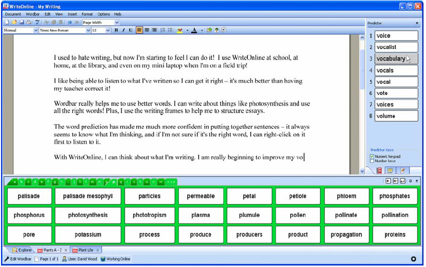 WriteOnline preview