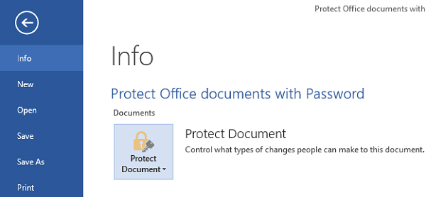 MS Word 2013 Password Protection Screen