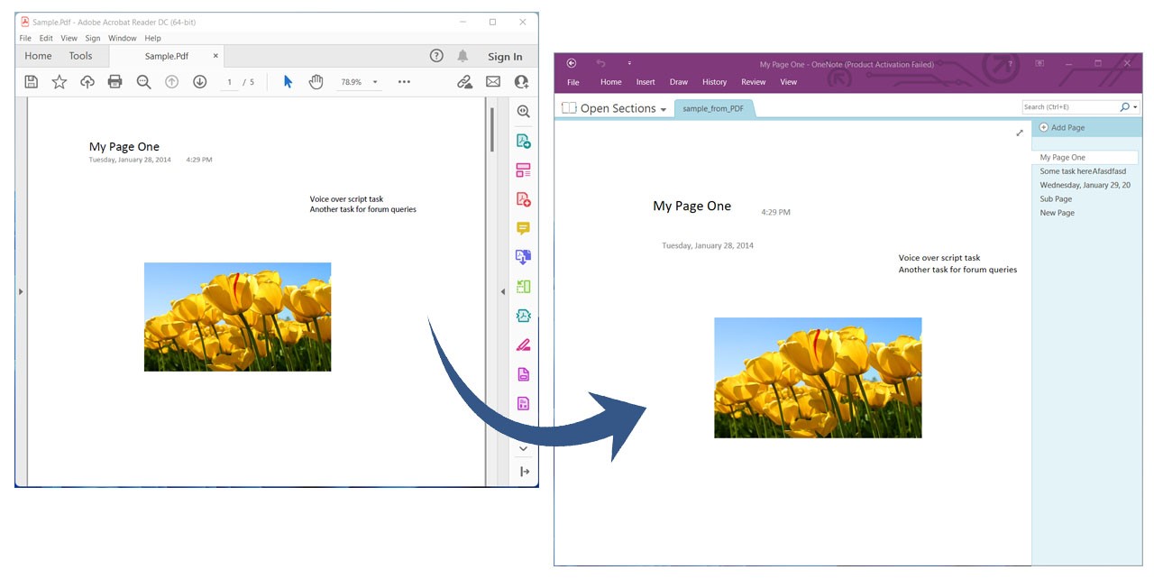 使用 C# 将 PDF 转换为 OneNote